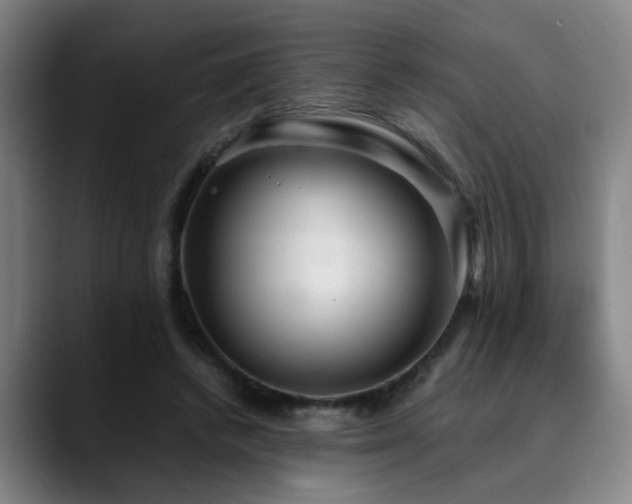 X0000090470448200707131300