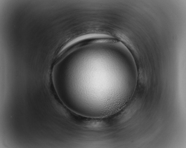 X0000090470449200707131300