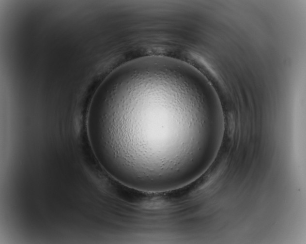 X0000090470451200707131301