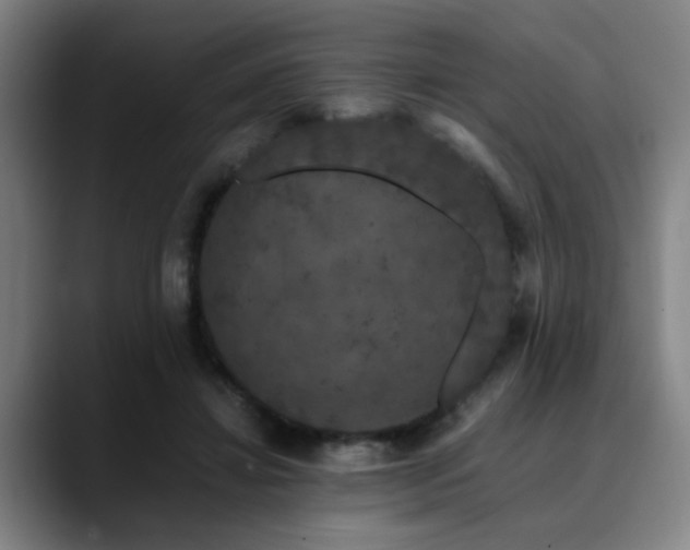 X0000090470452200707131301