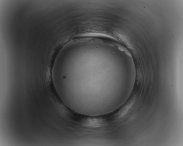 X0000090470453200707131301