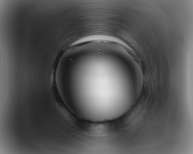 X0000090470454200707131301