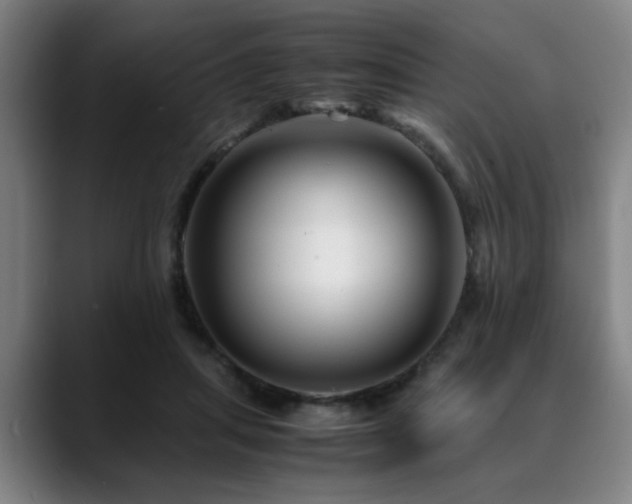 X0000090470455200707131301