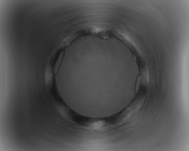 X0000090470456200707131301