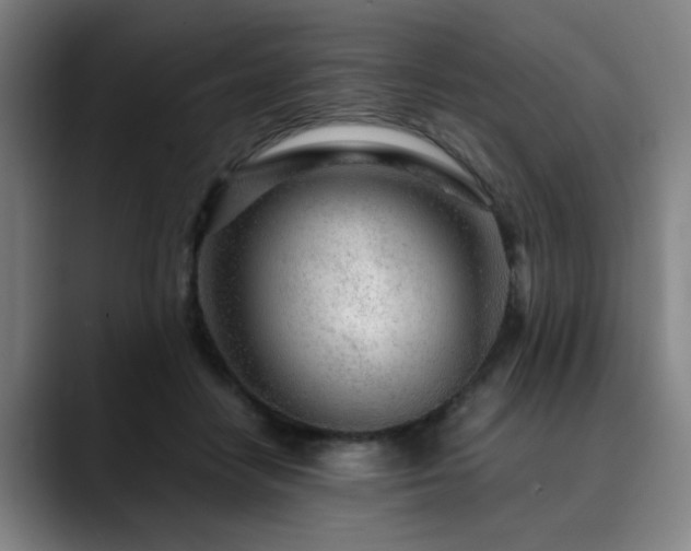X0000090470458200707131301