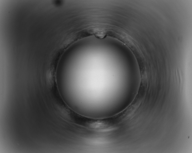 X0000090470460200707131301