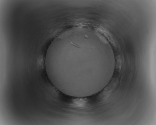 X0000090470465200707131301
