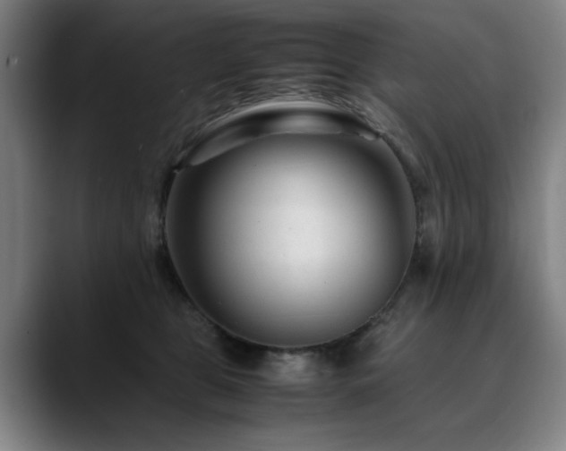 X0000090470469200707131301