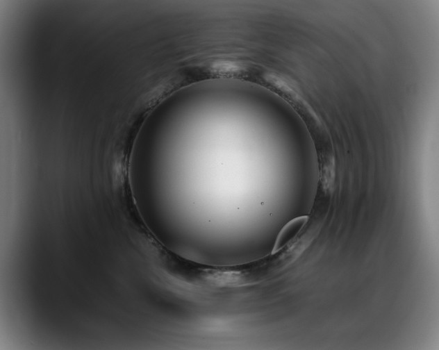 X0000090470476200707131301