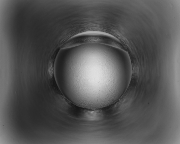 X0000090470479200707131301