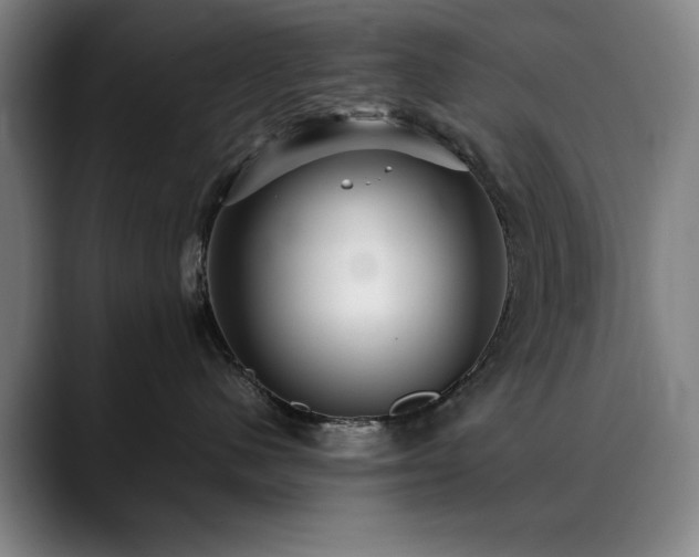 X0000090470480200707131301