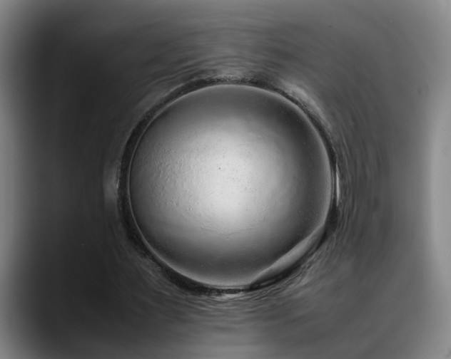 X0000090470483200707131300