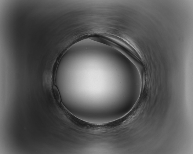 X0000090470485200707131300