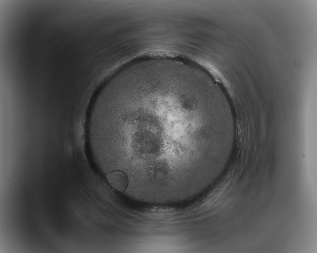 X0000090470487200707131300