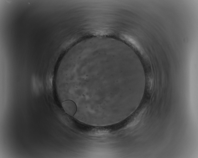 X0000090470491200707131300