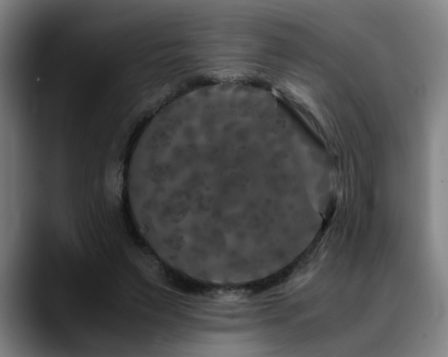 X0000090470495200707131300