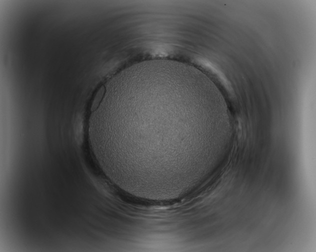 X0000090470496200707131300