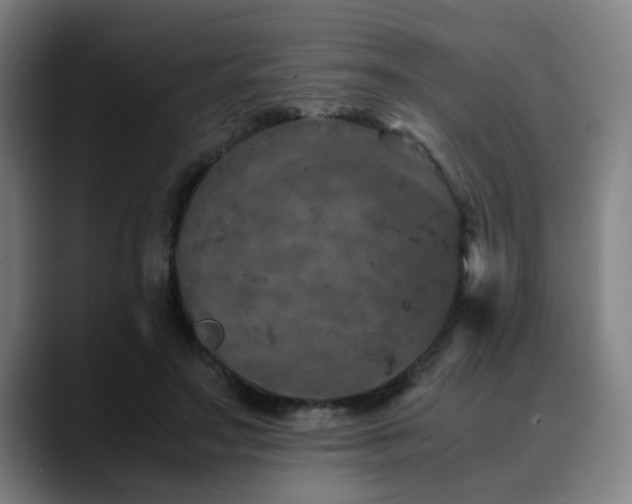 X0000090470499200707131300