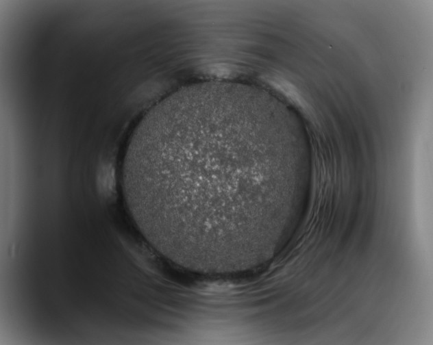 X0000090470500200707131300
