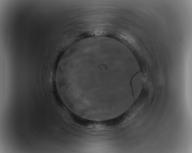 X0000090470503200707131300