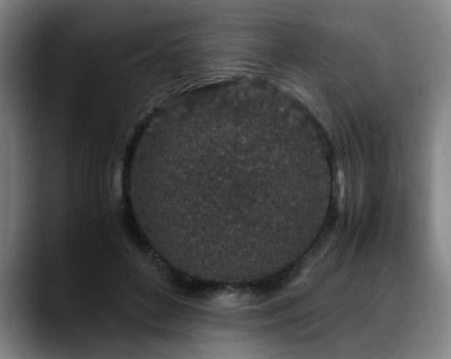 X0000090470504200707131300