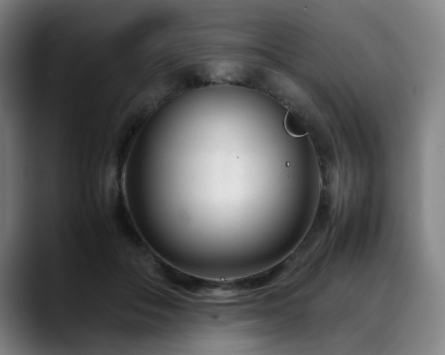 X0000090470506200707131300