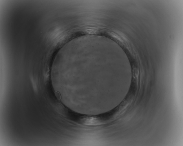 X0000090470507200707131300