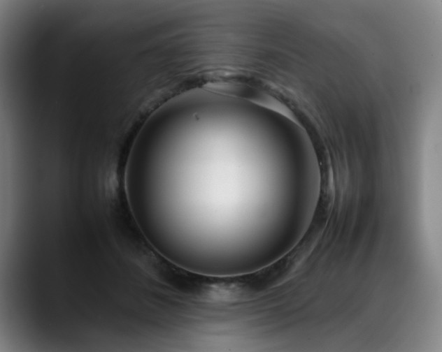 X0000090470508200707131300