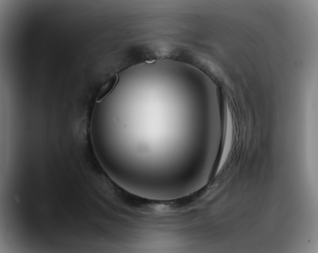 X0000090470509200707131300