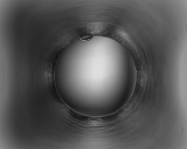 X0000090470510200707131300