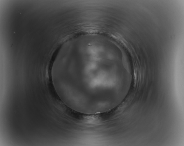 X0000090470516200707131300