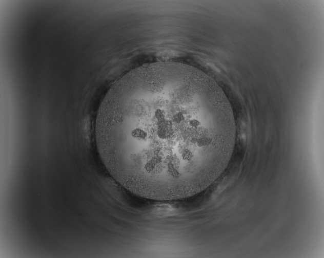 X0000090470519200707131300