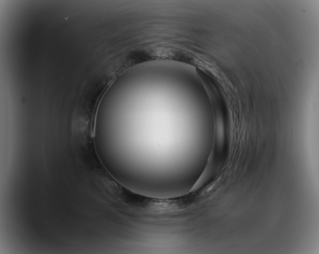 X0000090470521200707131300