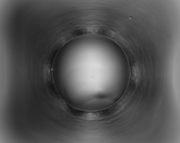 X0000090470522200707131300