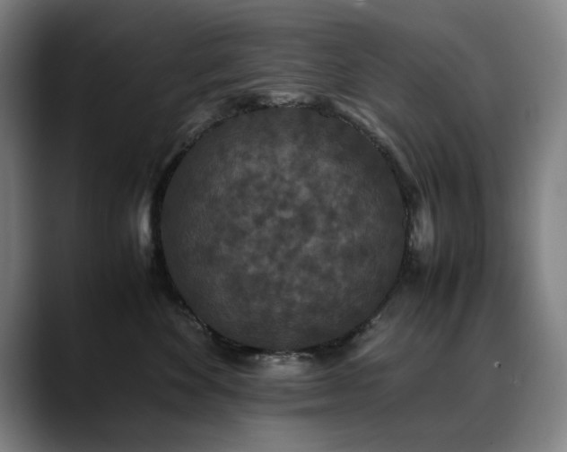 X0000090470524200707131300