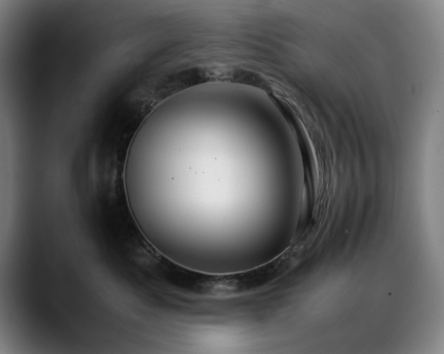 X0000090470525200707131300