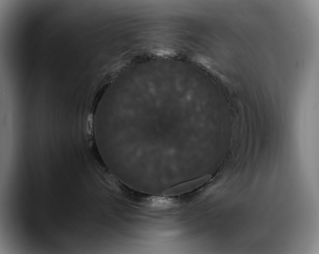 X0000090470528200707131300