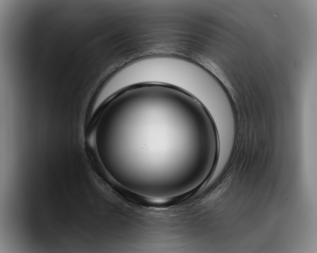 X0000090470530200707131259