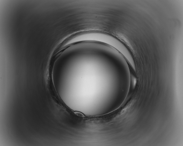 X0000090470532200707131259