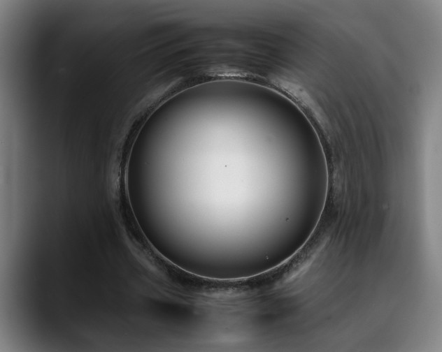 X0000090470533200707131259