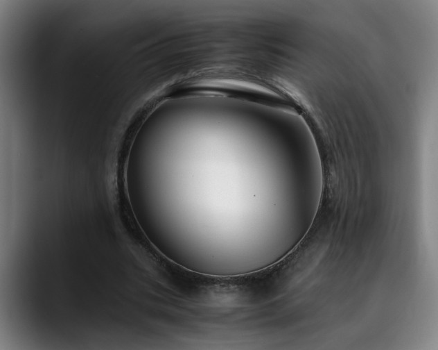 X0000090470535200707131259