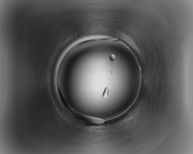 X0000090470538200707131259