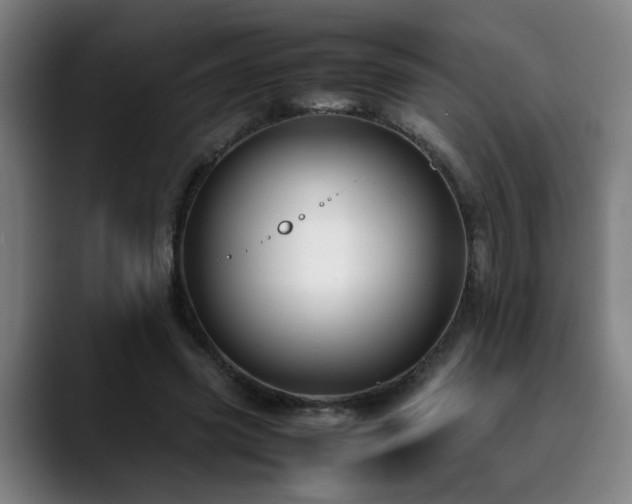 X0000090470541200707131259
