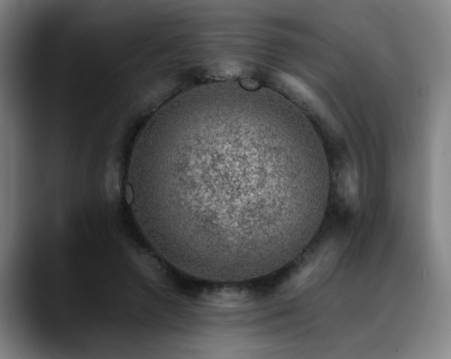 X0000090470546200707131259