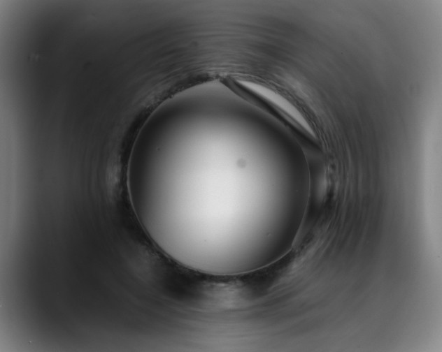 X0000090470548200707131259