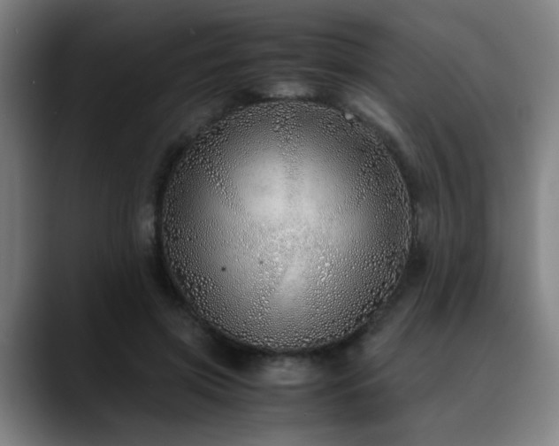 X0000090470549200707131259