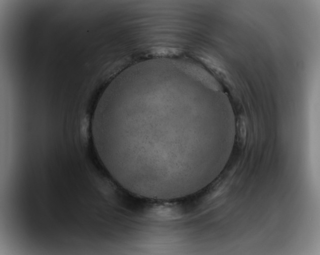 X0000090470550200707131259