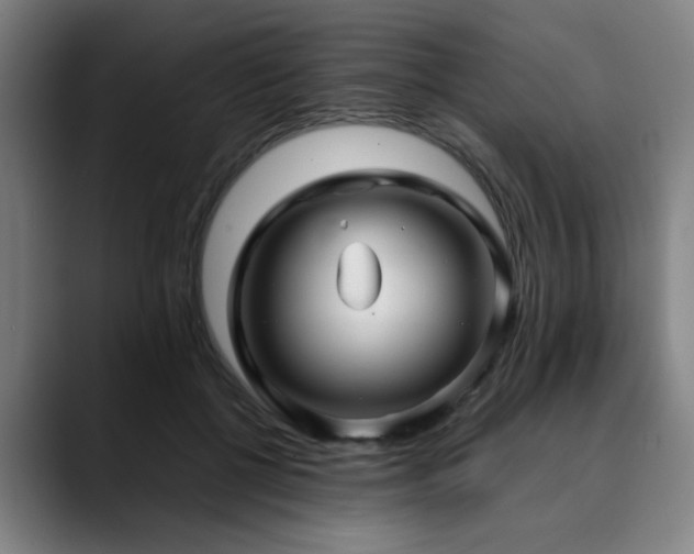 X0000090470552200707131259