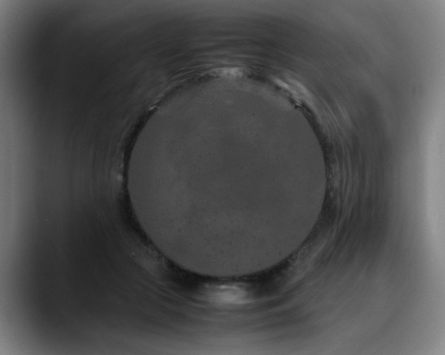 X0000090470553200707131259