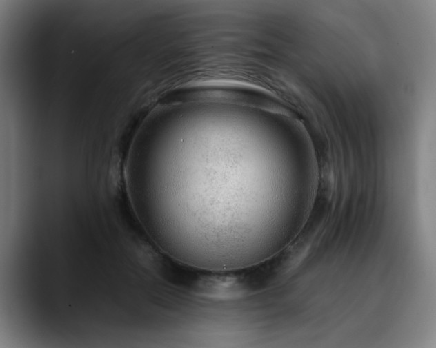 X0000090470554200707131259